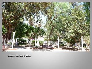 2eme Partie Oranie  Arzew-Fontaine des Gazelles (21)